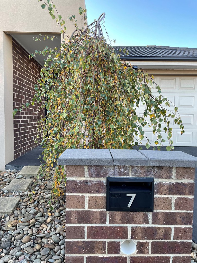7 Bellman Avenue, Clyde, VIC 3978, Clyde - Thumbnail 4