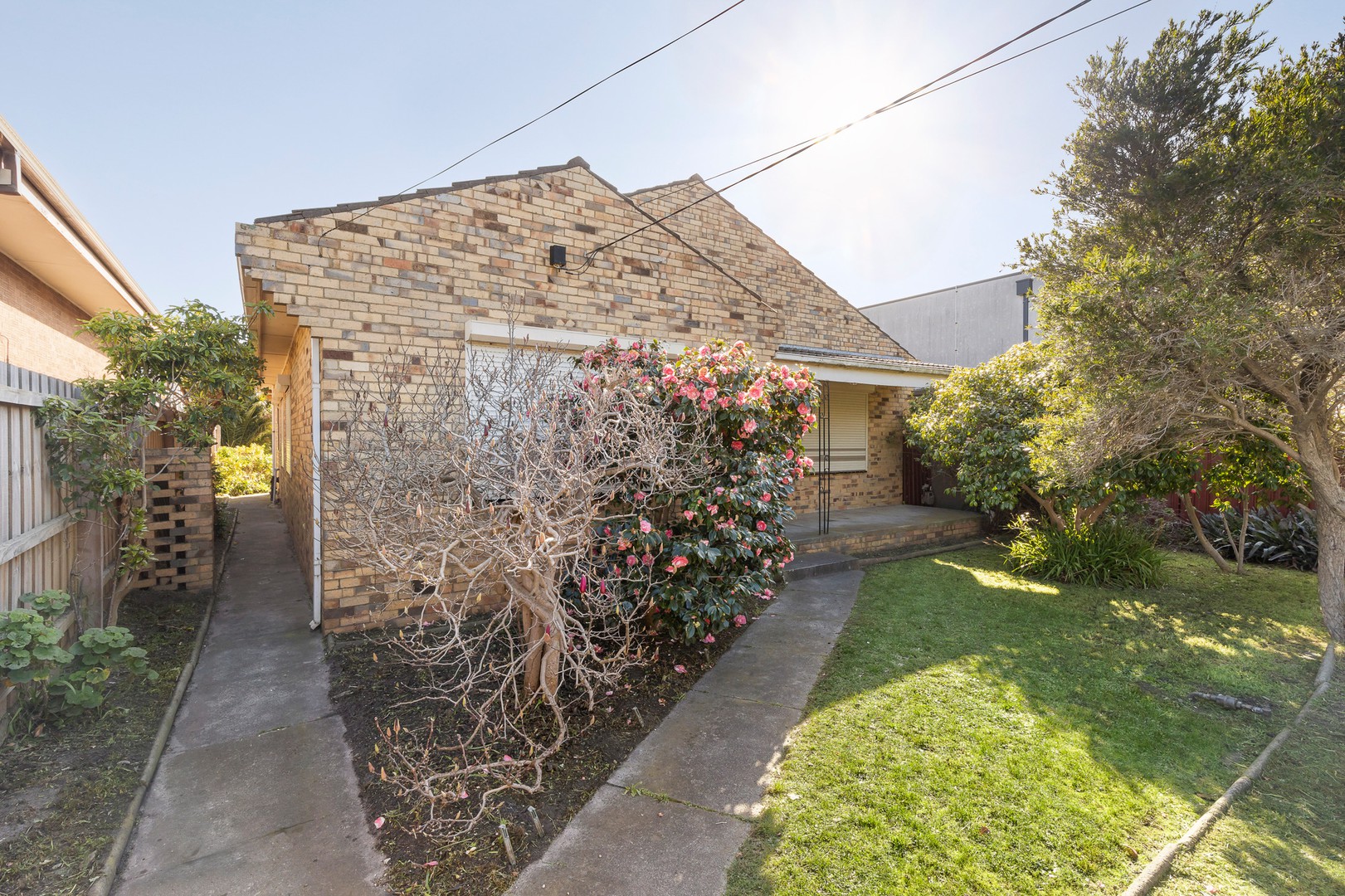 7 Blantyre Avenue, Chelsea, VIC 3196, Chelsea - Thumbnail 3