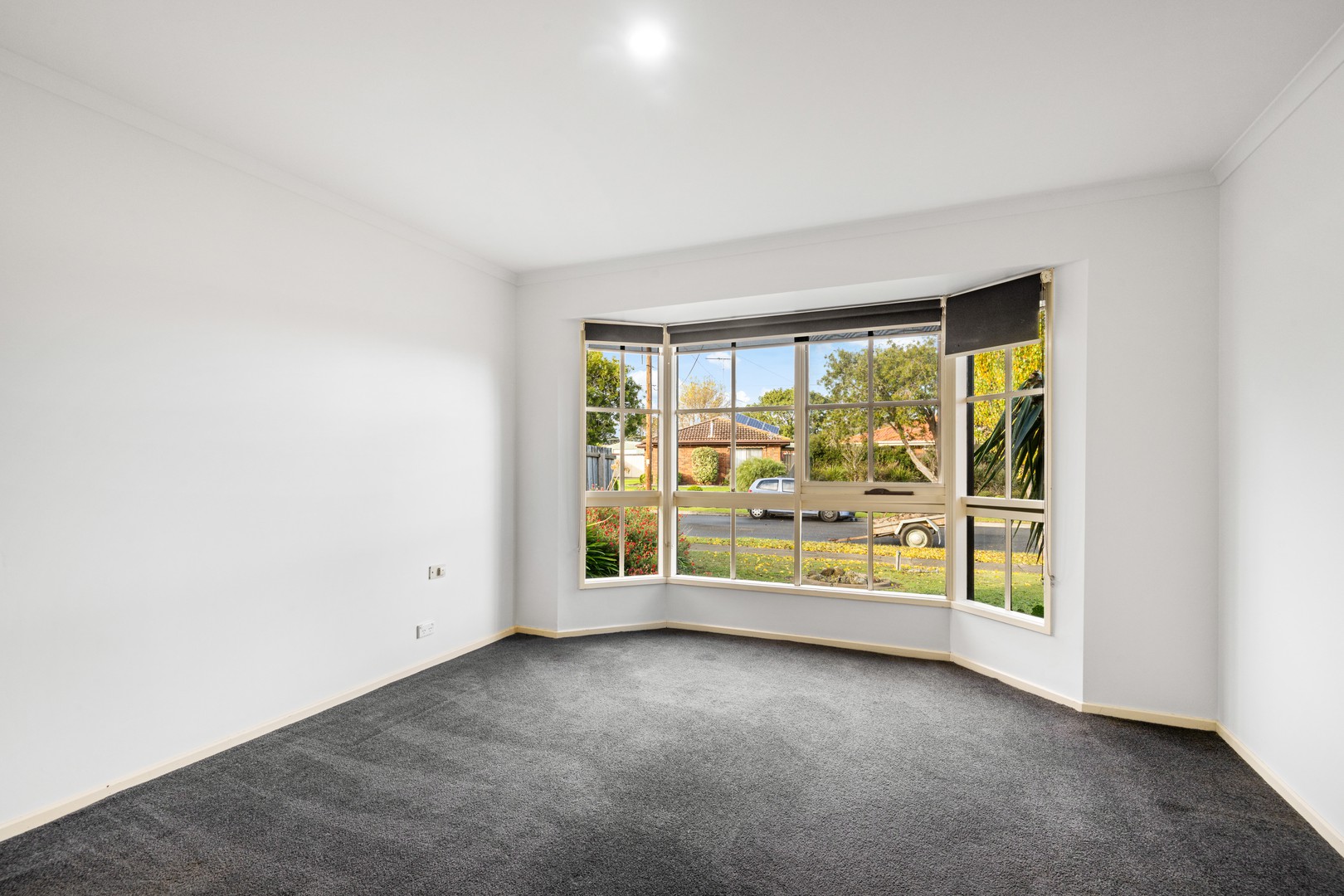 7 Conrad Court, Whittington, VIC 3219, Whittington - Thumbnail 6