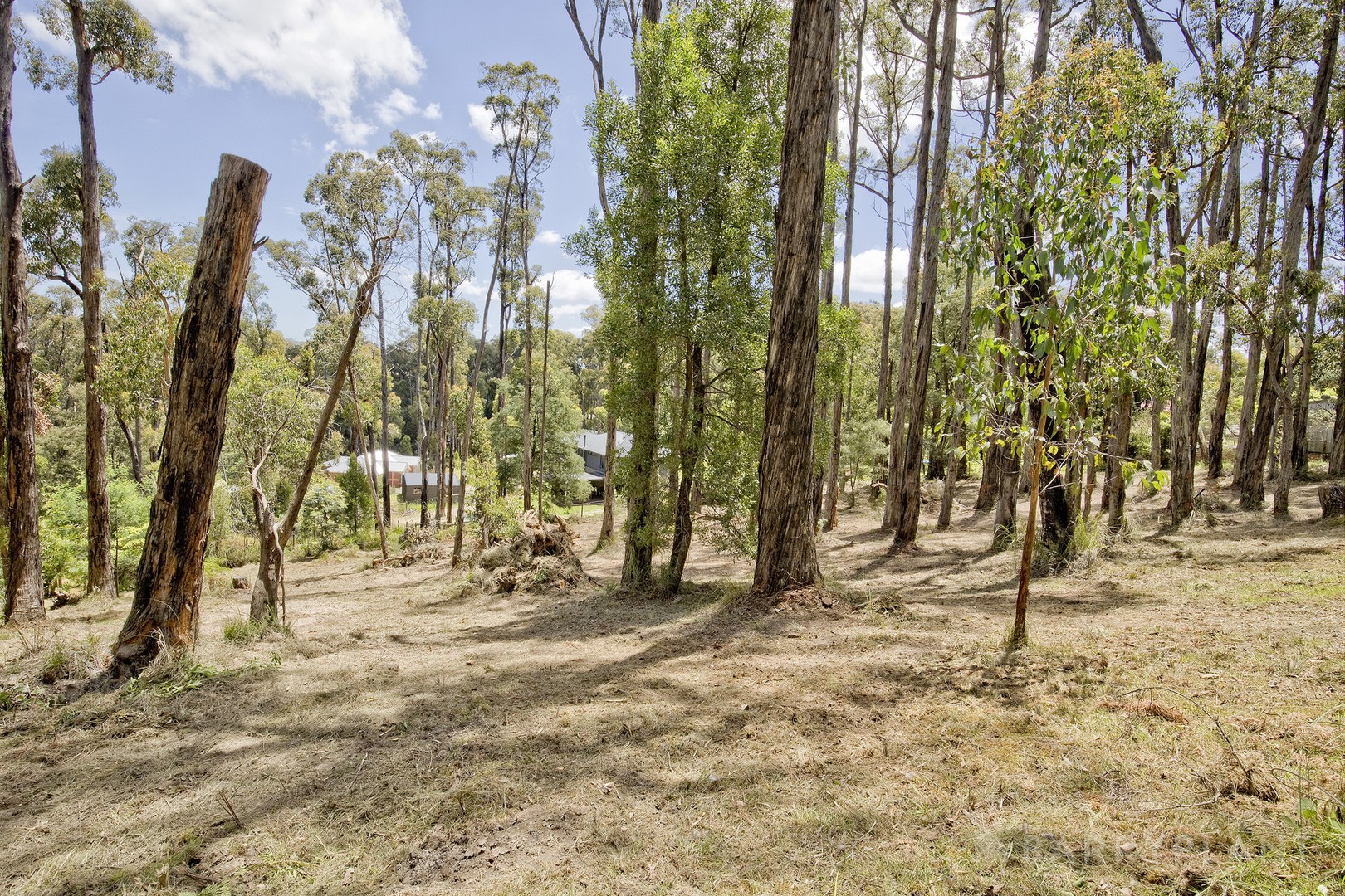 7 Galah Street, Cockatoo, VIC 3781 - Thumbnail 1 - 11/12/2025