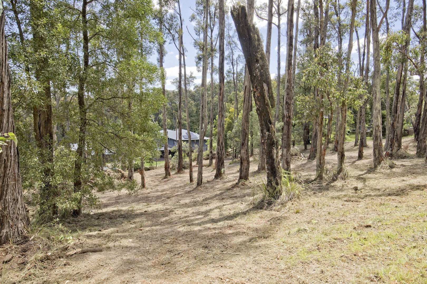 7 Galah Street, Cockatoo, VIC 3781 - Thumbnail 2 - 11/12/2025