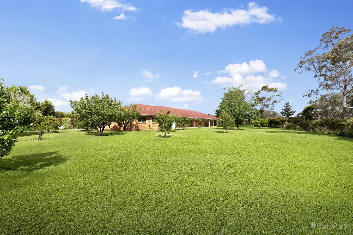 7 Limassol Court, Donvale, VIC 3111, Donvale - Thumbnail 3