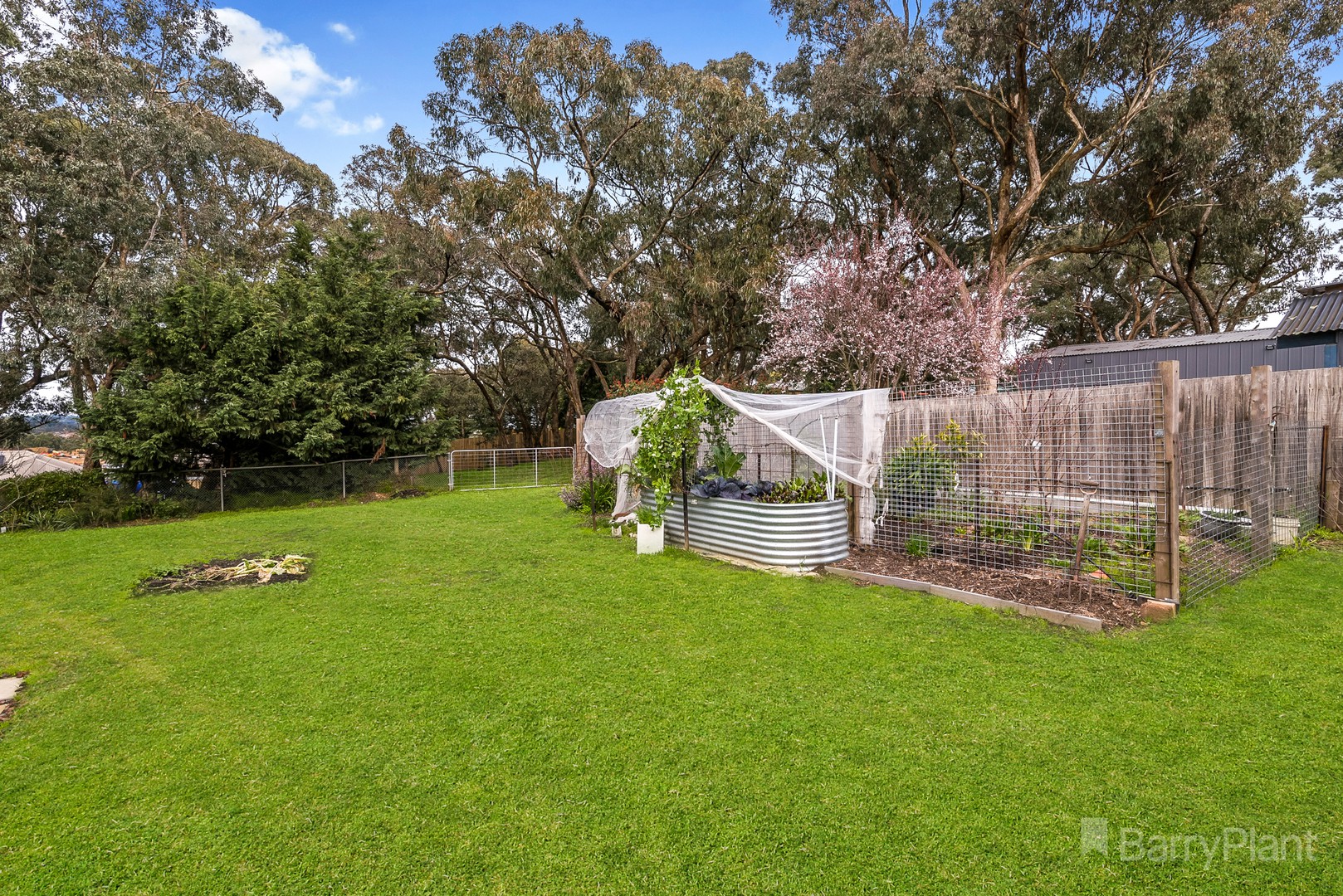 7 Link Avenue, Kilmore, VIC 3764, Kilmore - Thumbnail 8