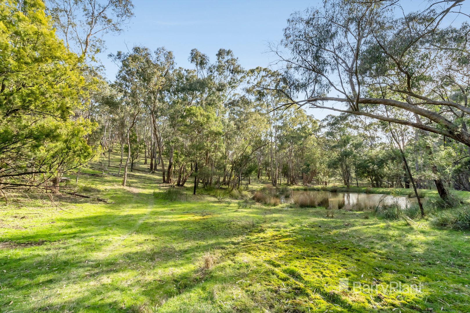7 Lorimer Road, Wattle Glen, VIC 3096, Wattle Glen - Thumbnail 8