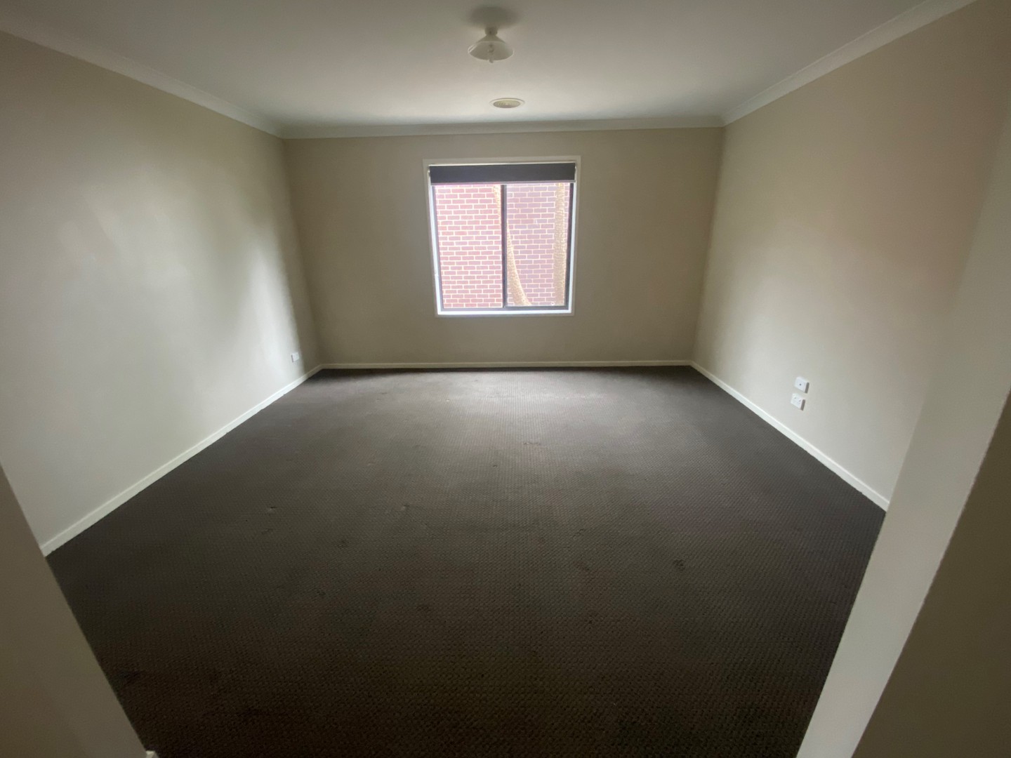 7 Rincon Crescent, Torquay, VIC 3228, Torquay - Thumbnail 8