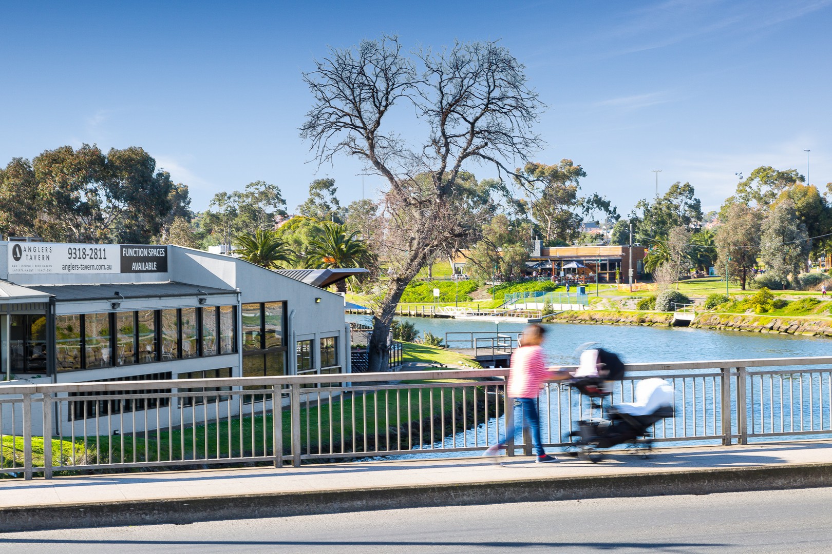 7 Tamar Street, Aberfeldie, VIC 3040, Aberfeldie - Thumbnail 5