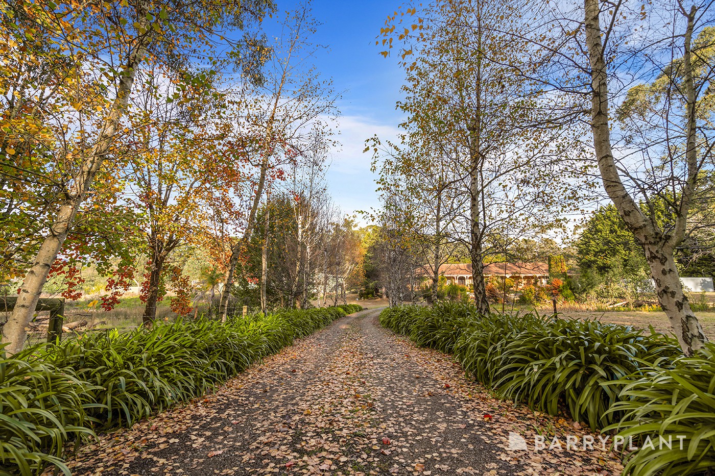 7 Victoria Street, Wandin North, VIC 3139, Wandin North - Thumbnail 5