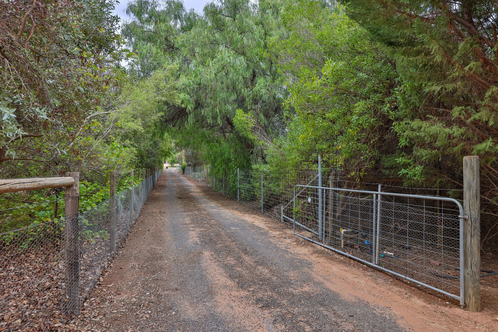 7 Wilga Road South, Gol Gol, NSW 2738, Gol Gol - Thumbnail 2