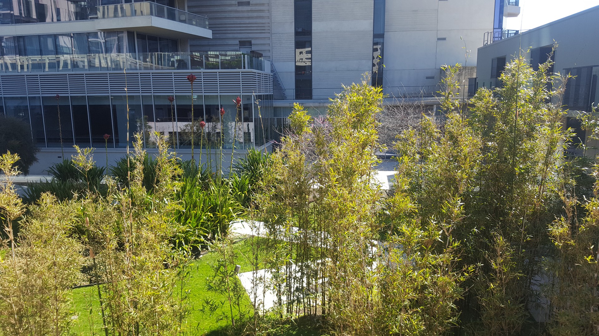 713/838 Bourke Street, Docklands, VIC 3008, Docklands - Thumbnail 8