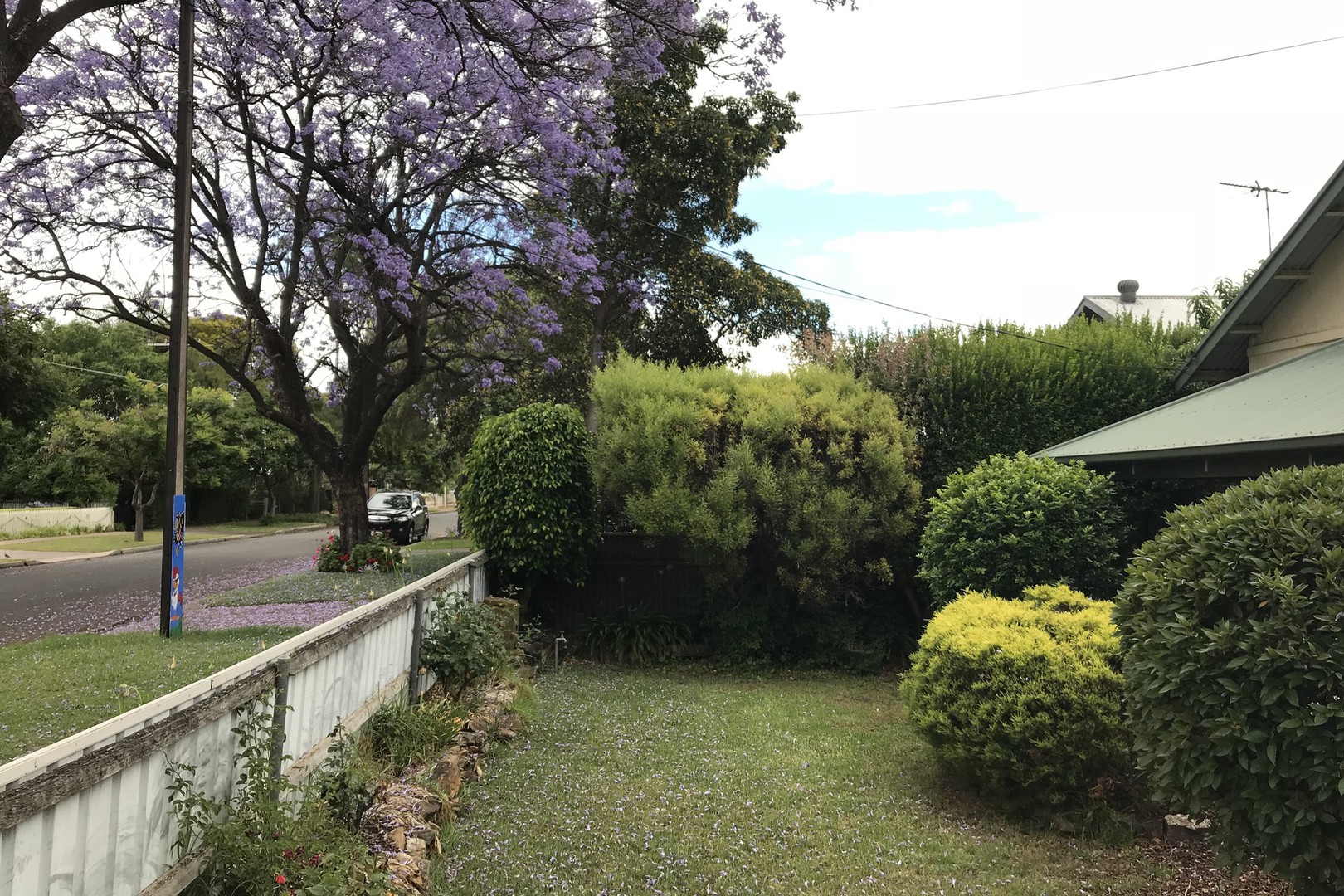 72 Albert Street, Prospect, SA 5082 - Thumbnail 1 - 25/11/2021