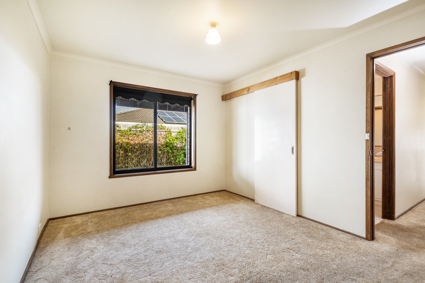 74 Solar Drive, Whittington, VIC 3219, Whittington - Thumbnail 8