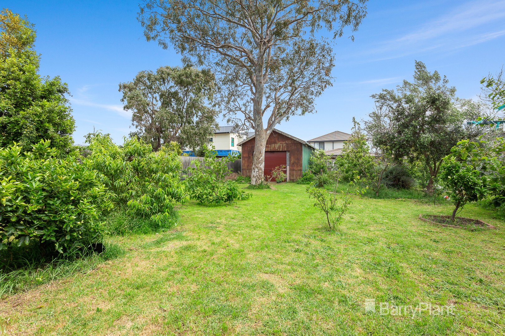 75 Glenola Road, Chelsea, VIC 3196, Chelsea - Thumbnail 6