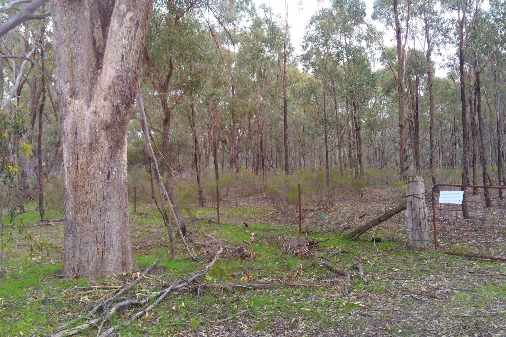 750 Willow Road, Murchison, VIC 3610 - Thumbnail 1 - 18/08/2021