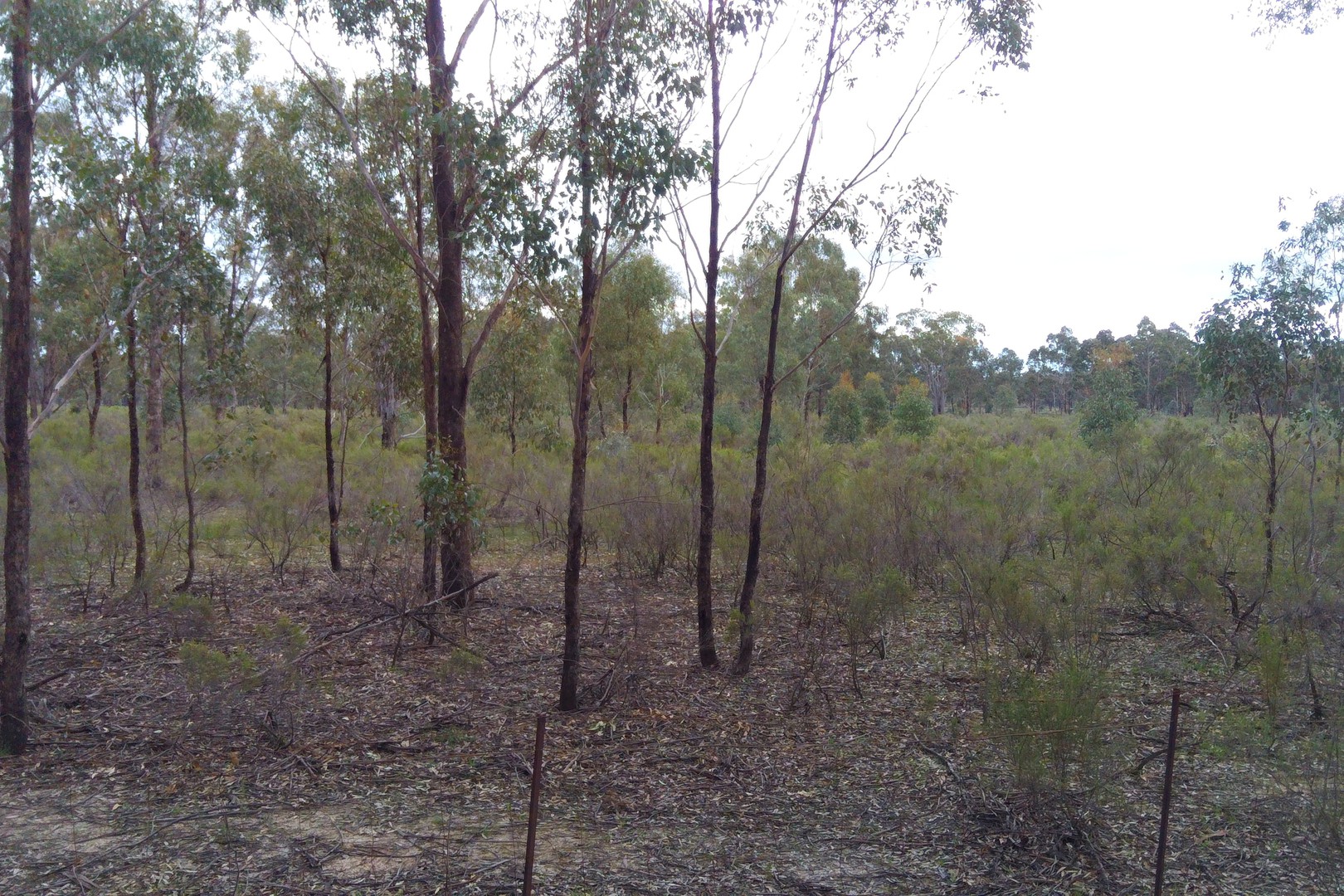 750 Willow Road, Murchison, VIC 3610 - Thumbnail 2 - 18/08/2021