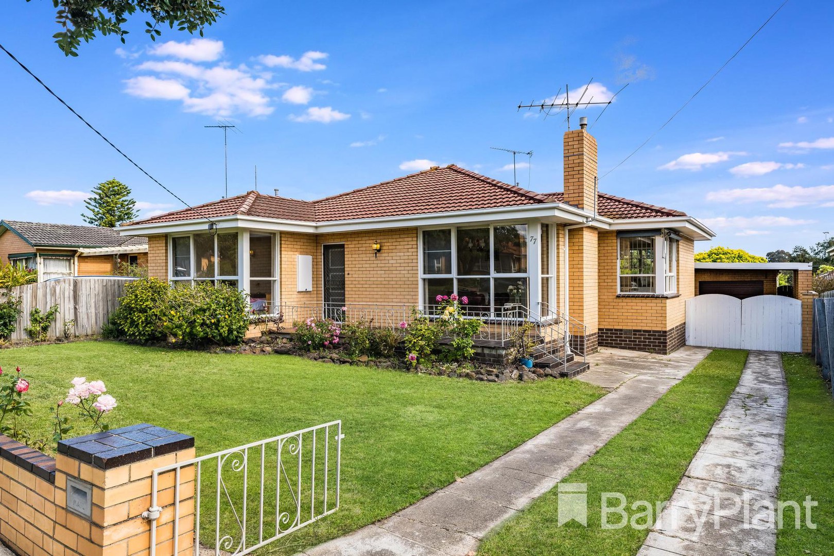 77 Pavo StreetBelmont, VIC 3216, Belmont - Thumbnail 2