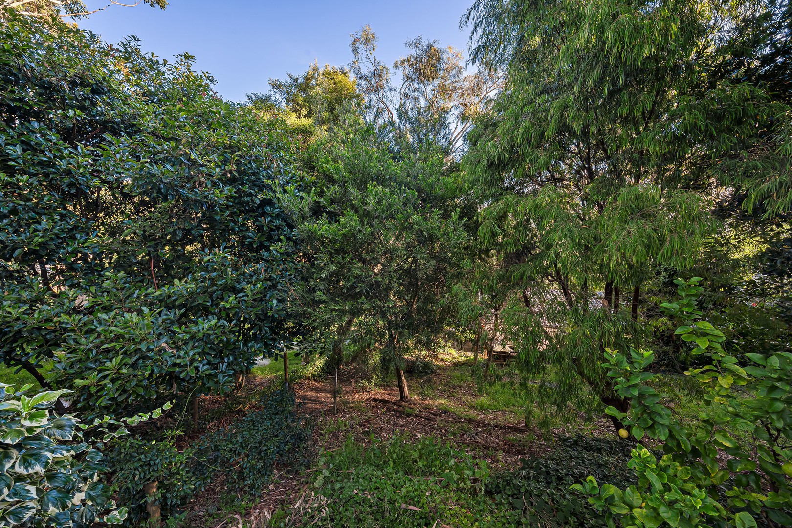 78 Yarrabee Road, Greenhill, SA 5140, Greenhill - Image 1