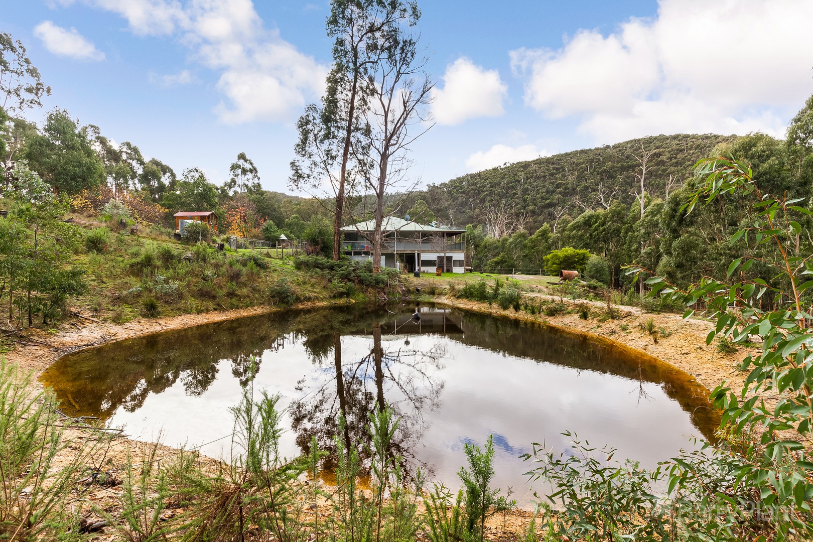 780 Reedy Creek Road, Reedy Creek, VIC 3658, Reedy Creek - Thumbnail 3
