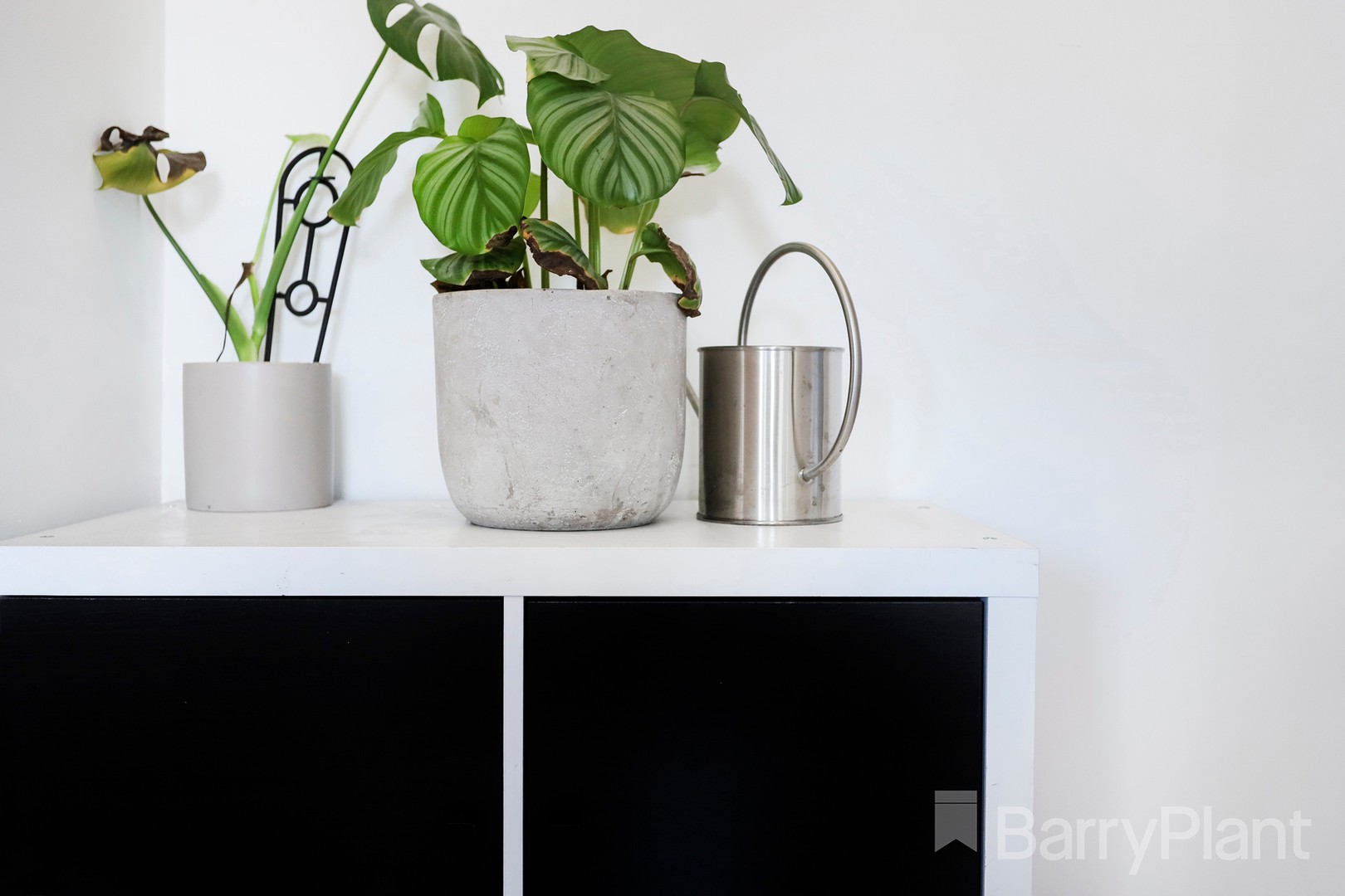 8/30 Argyle Street, West Footscray, VIC 3012, West Footscray - Thumbnail 7