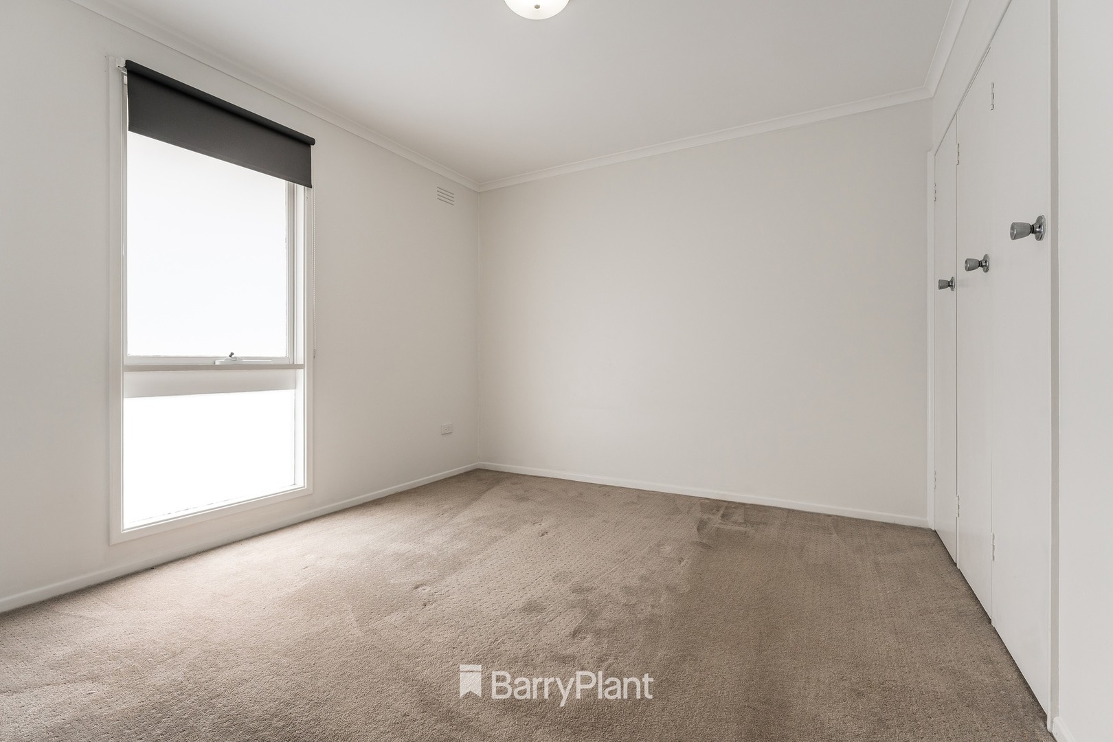 8/59 Mt Pleasant Road, Belmont, VIC 3216, Belmont - Thumbnail 5