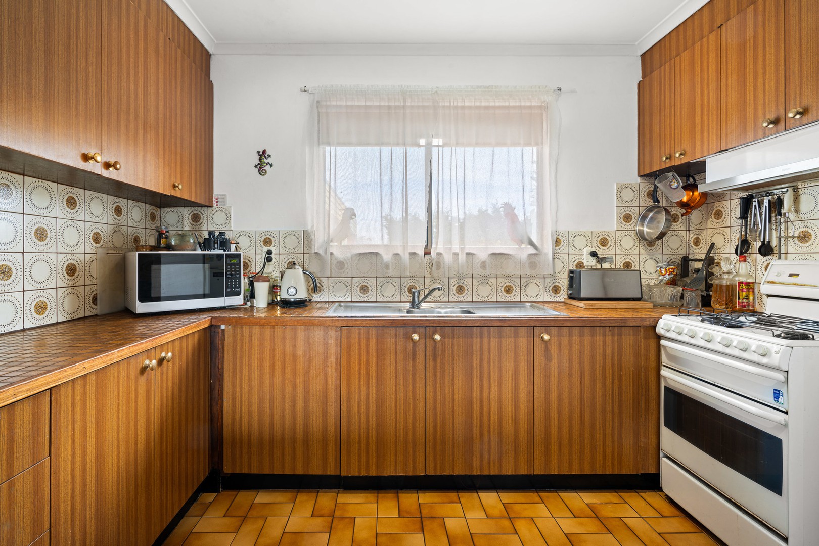 8/8 Heytesbury Street, Herne Hill, VIC 3218, Herne Hill - Thumbnail 2