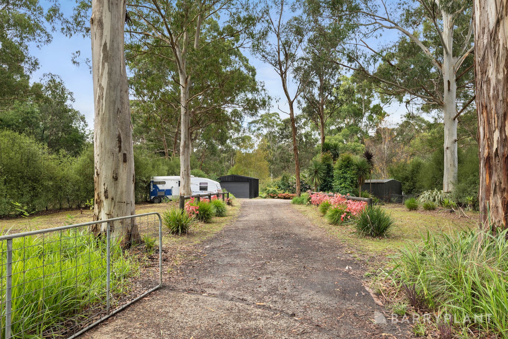 8 Banksia Court, Castella, VIC 3777, Castella - Thumbnail 3