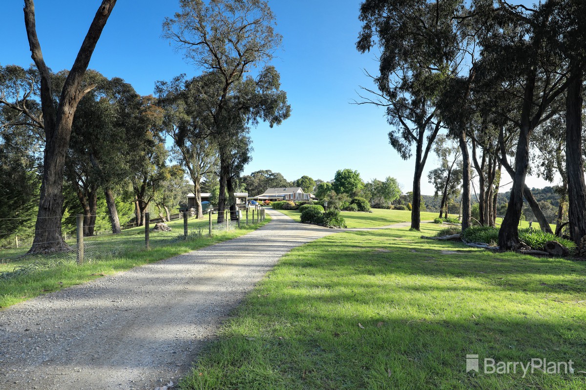 8 Brodrick RoadMacclesfield, VIC 3782, Macclesfield - Thumbnail 3