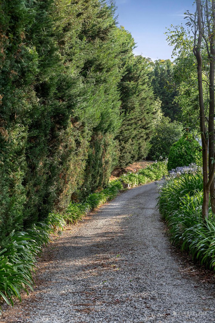 8 Clematis Court, Warrandyte, VIC 3113, Warrandyte - Thumbnail 3