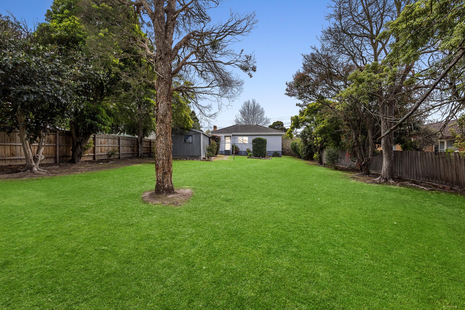 8 Daisy Street, Heathmont, VIC 3135, Heathmont - Thumbnail 4
