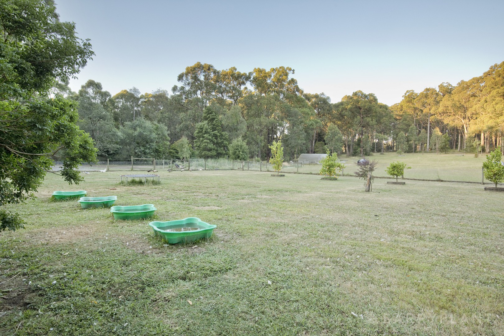 8 Deery Road, Emerald, VIC 3782 - Thumbnail 2 - 28/01/2026