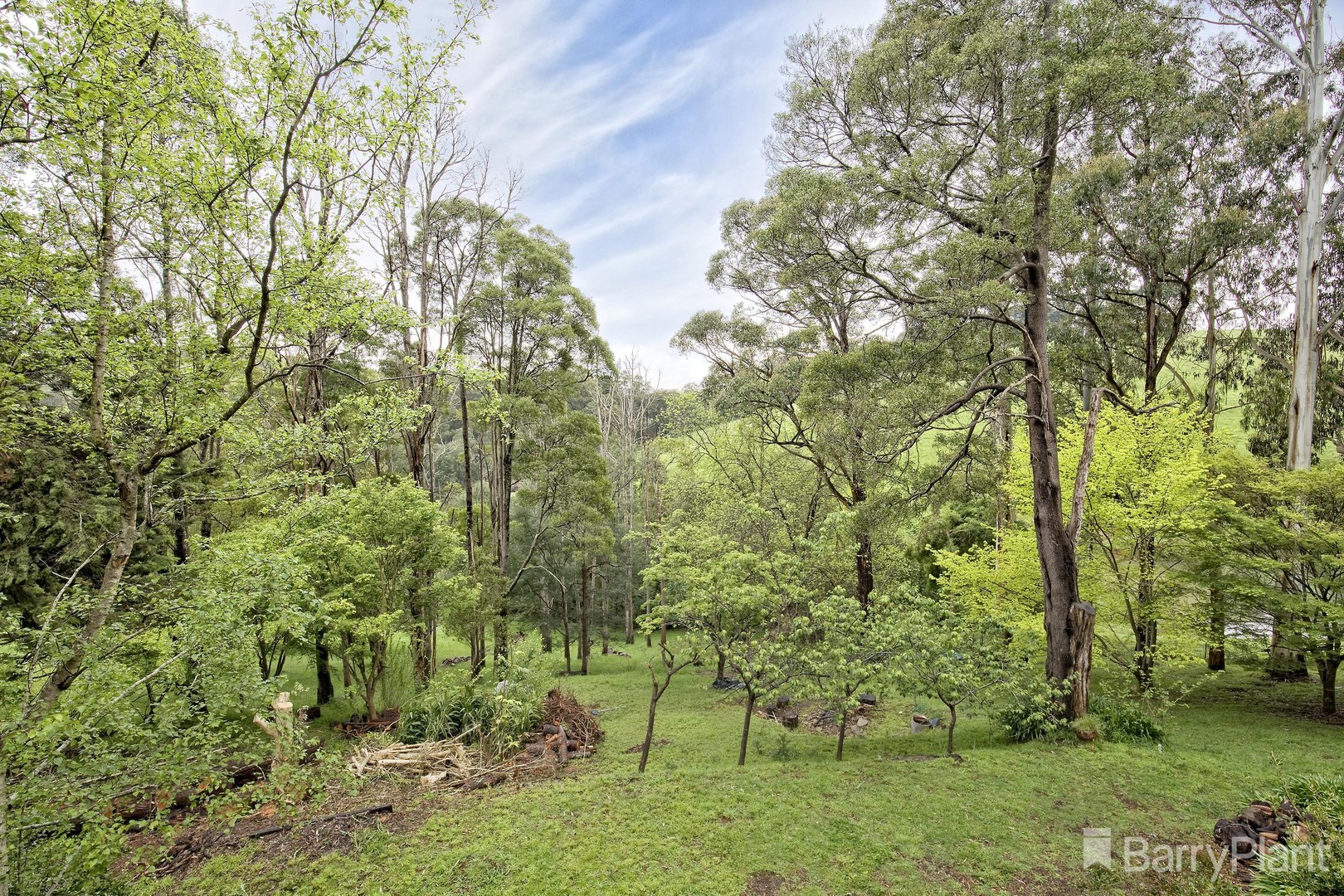 8 Duke Street, Emerald, VIC 3782, Emerald - Thumbnail 4