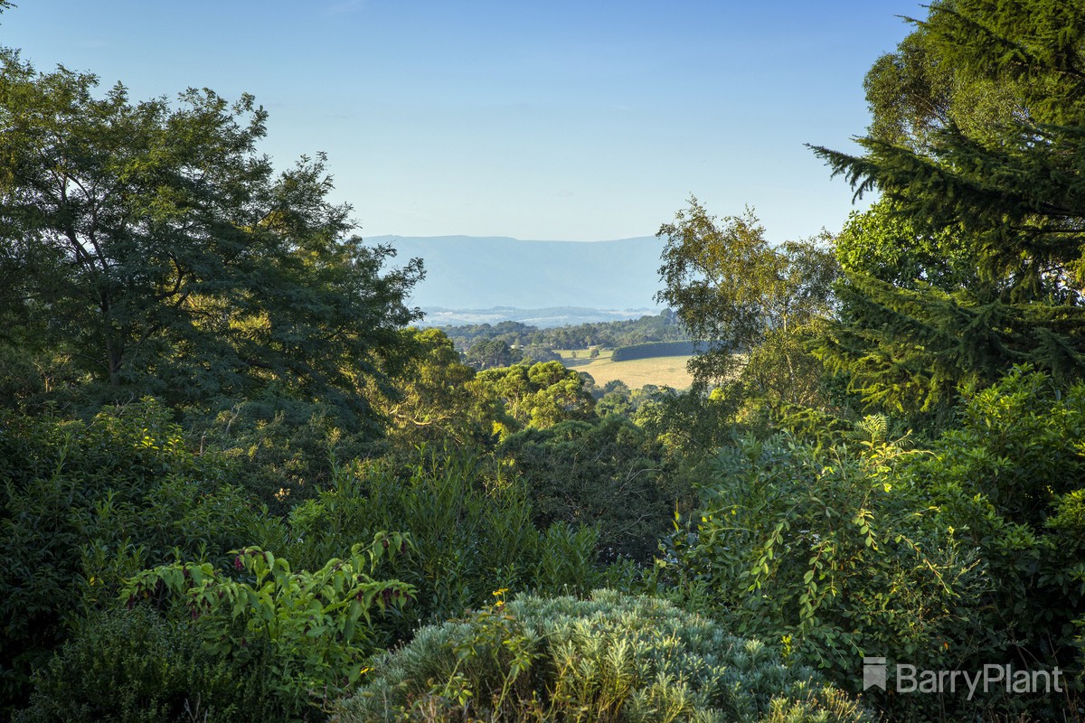 8 Emerald Monbulk Road, Emerald, VIC 3782, Emerald - Thumbnail 2