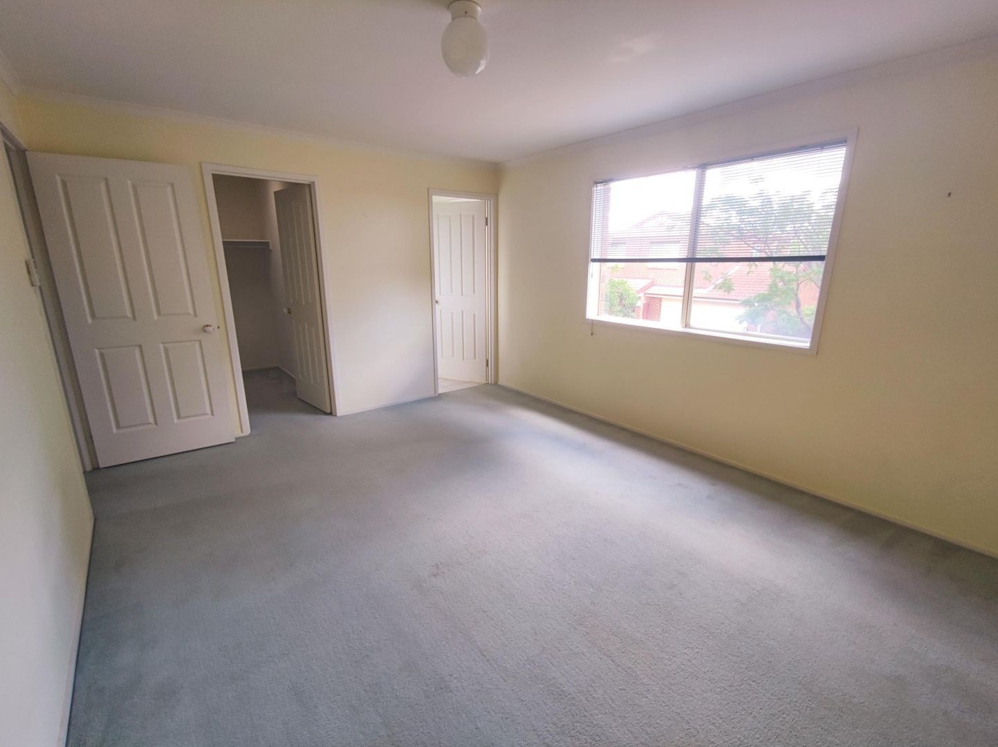 8 Enfield Place, Forest Hill, VIC 3131, Forest Hill - Thumbnail 5