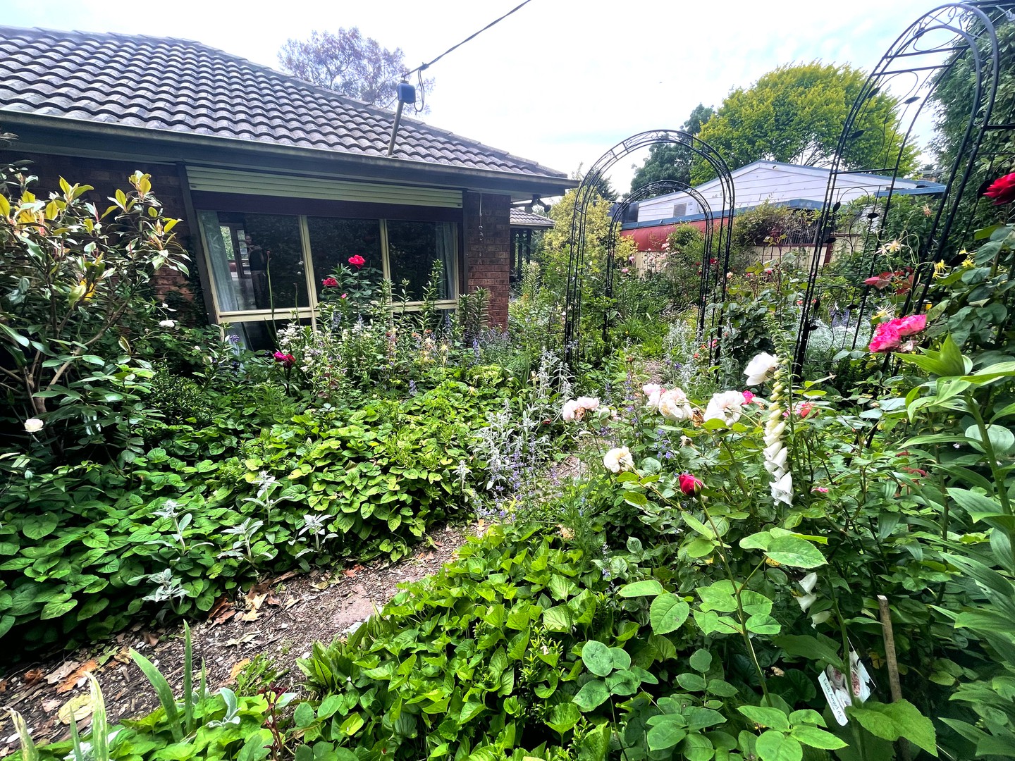 8 Hamilton Street, Kilmore, VIC 3764, Kilmore - Thumbnail 4
