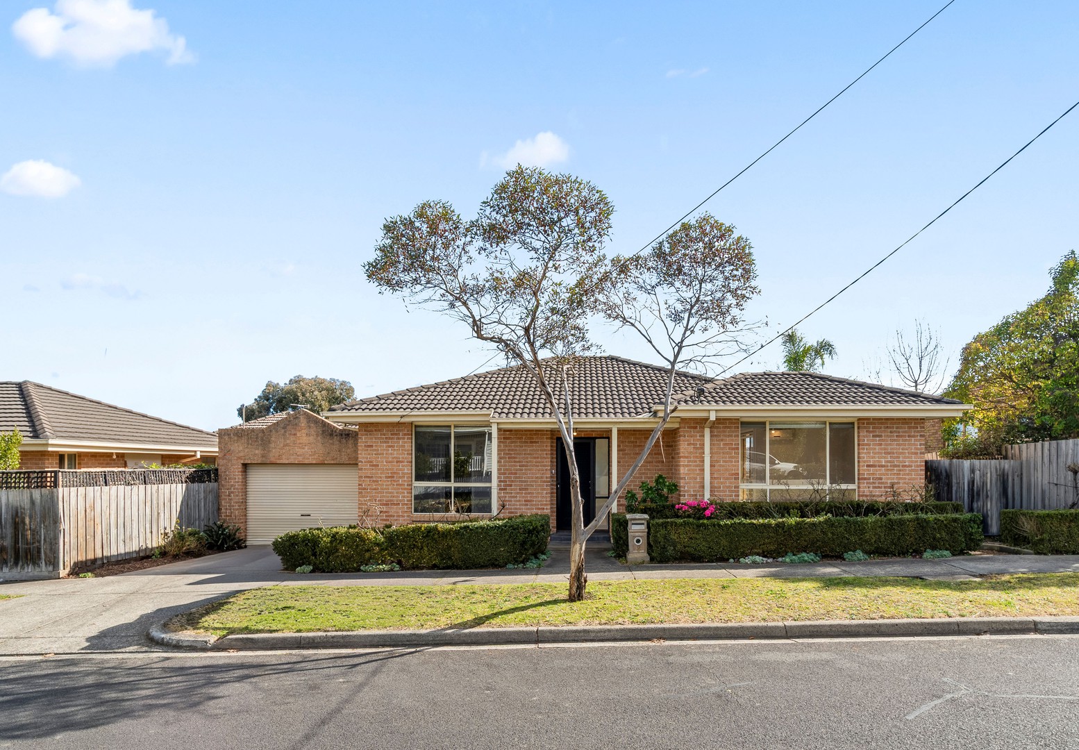 8 Linda Avenue, Box Hill North, VIC 3129, Box Hill North - Thumbnail 5