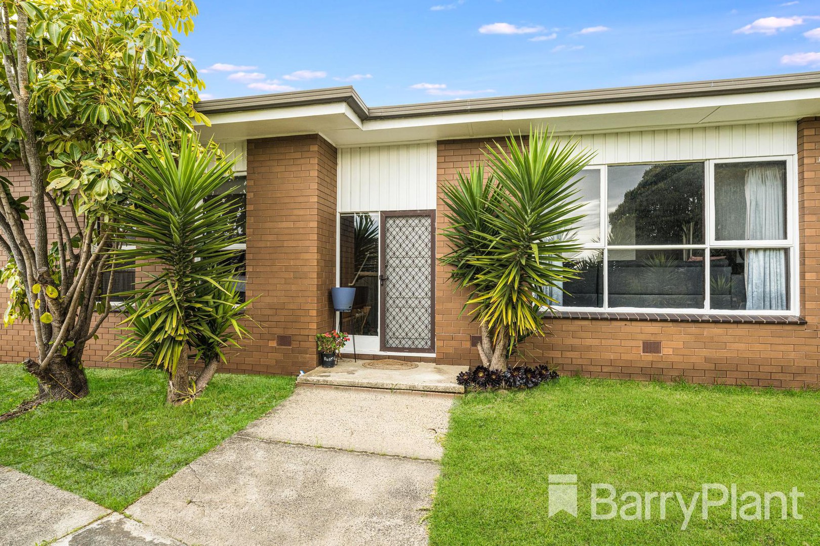 8 Mountbatten StreetGrovedale, VIC 3216, Grovedale - Thumbnail 6