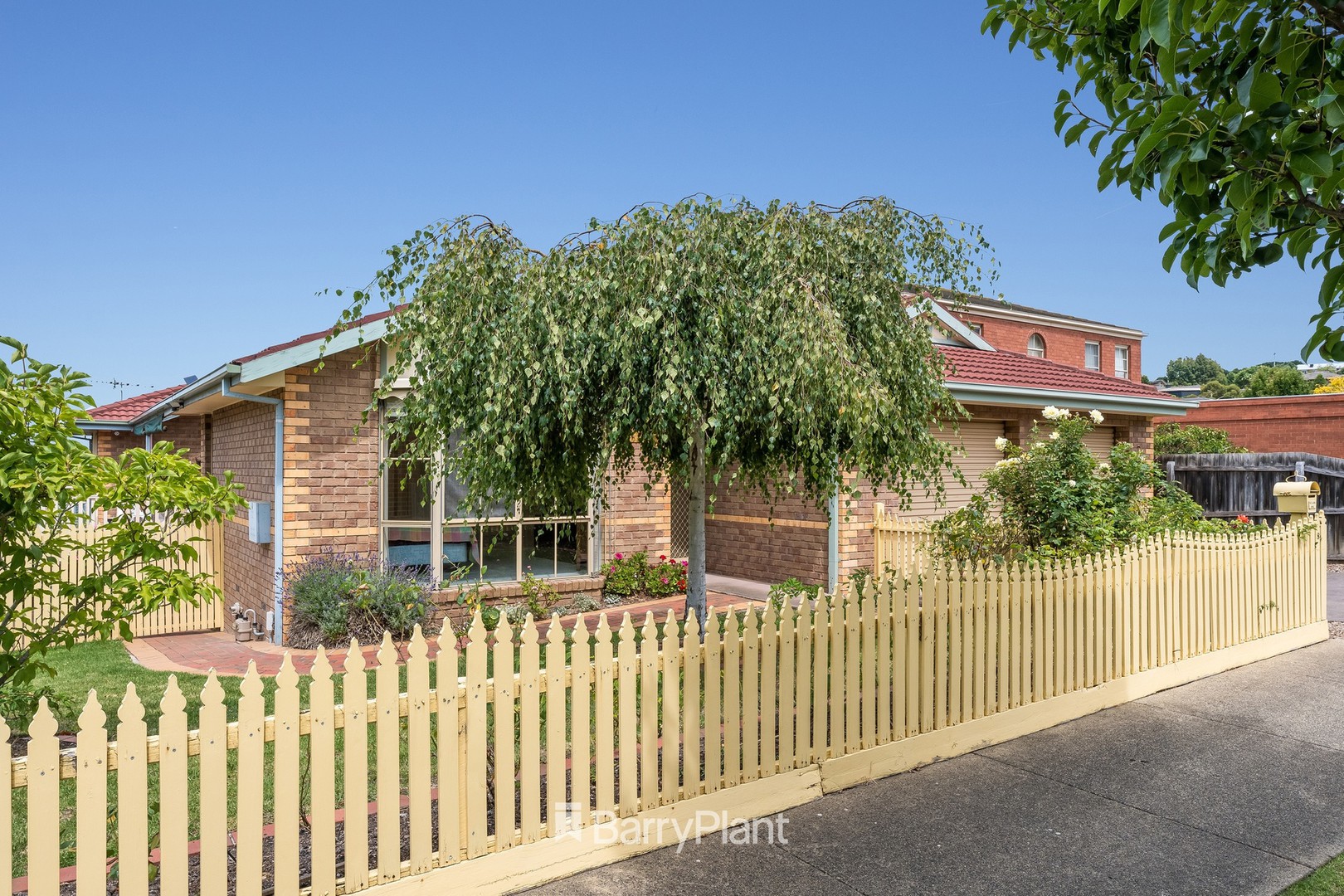 8 Nireeda CourtWandana Heights, VIC 3216, Wandana Heights - Thumbnail 3