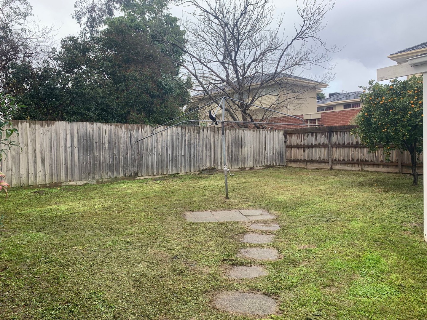 8 Turnstone Street, Doncaster East, VIC 3109, Doncaster East - Thumbnail 3