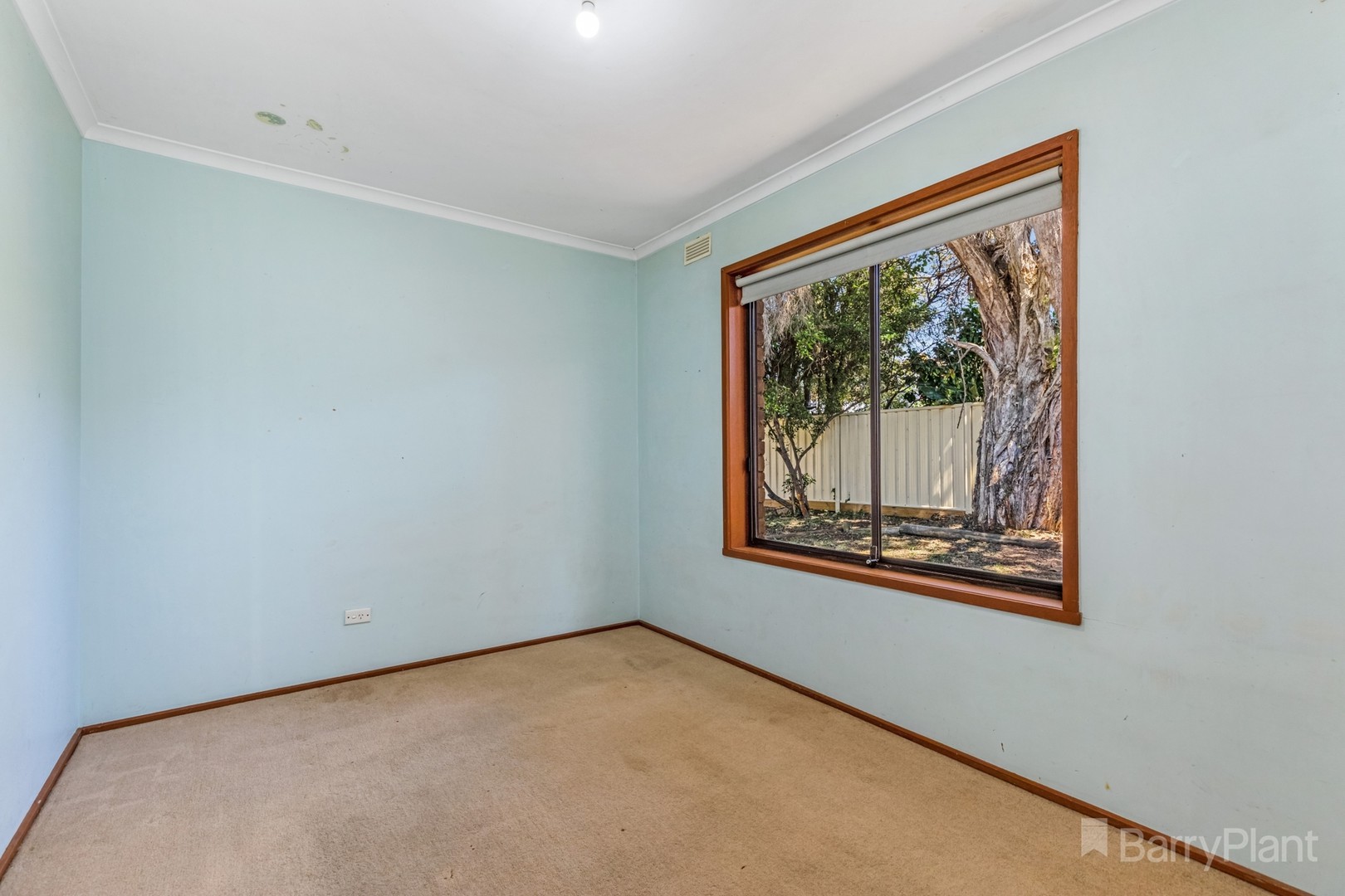8 Yandong Street, White Hills, VIC 3550, White Hills - Thumbnail 5