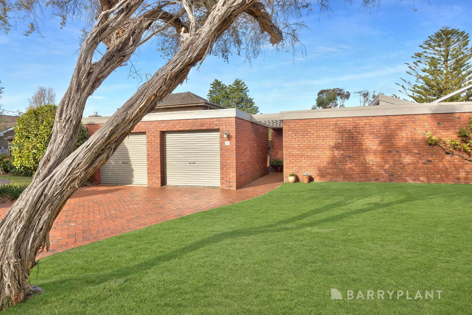 81 Cootamundra Avenue, Capel Sound, VIC 3940 - Thumbnail 2 - 08/04/2025