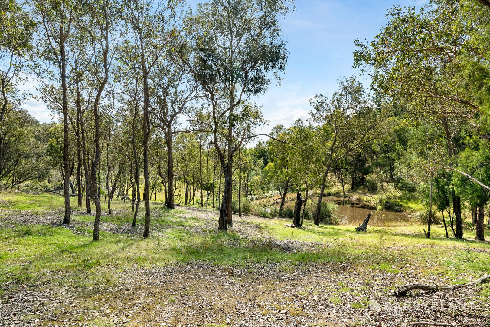 81 Mannish RoadWattle Glen, VIC 3096, Wattle Glen - Thumbnail 7