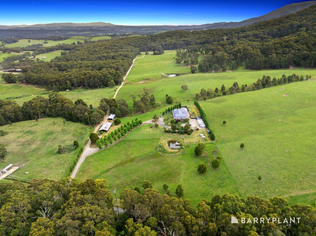 85 Rosella Road, Wesburn, VIC 3799, Wesburn - Thumbnail 4