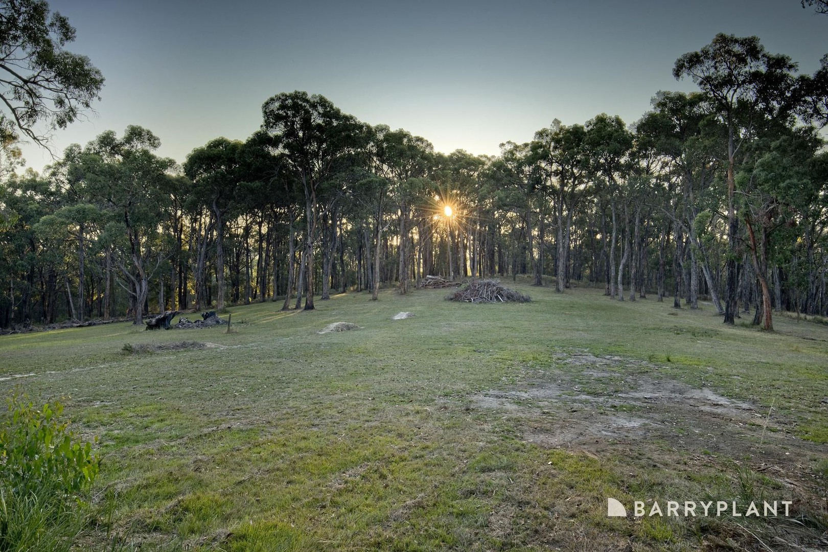 851 Macclesfield Road, Yellingbo, VIC 3139, Yellingbo - Thumbnail 4