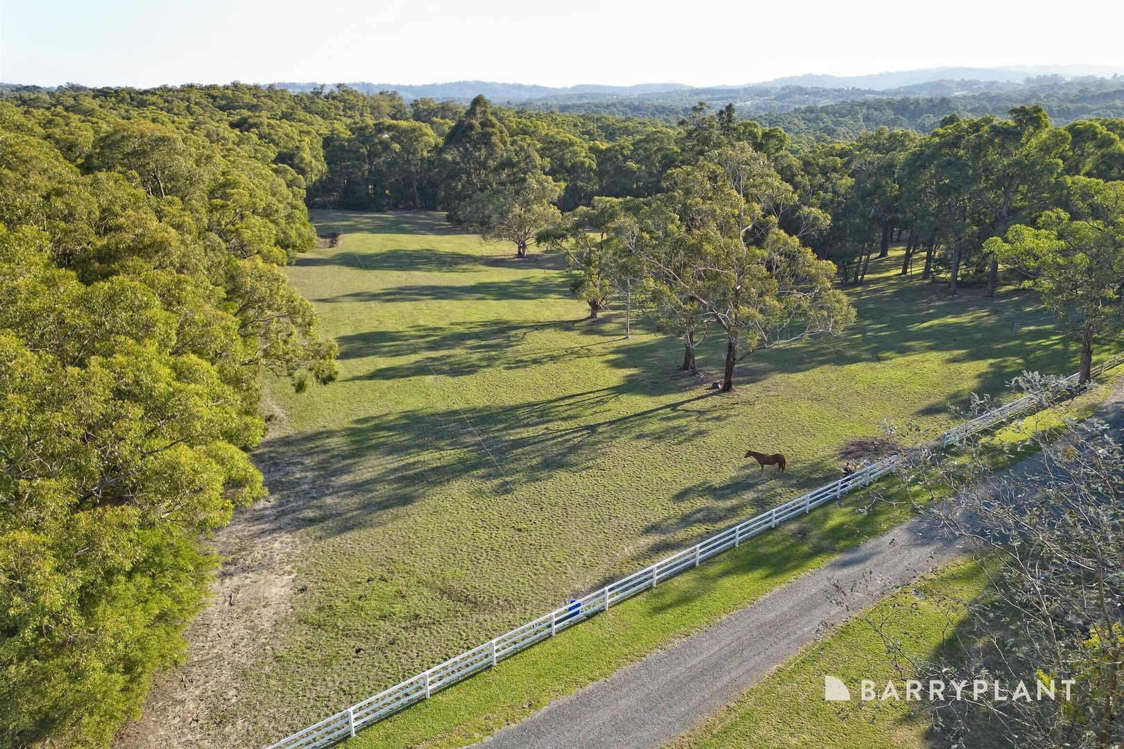 851 Macclesfield Road, Yellingbo, VIC 3139, Yellingbo - Thumbnail 5