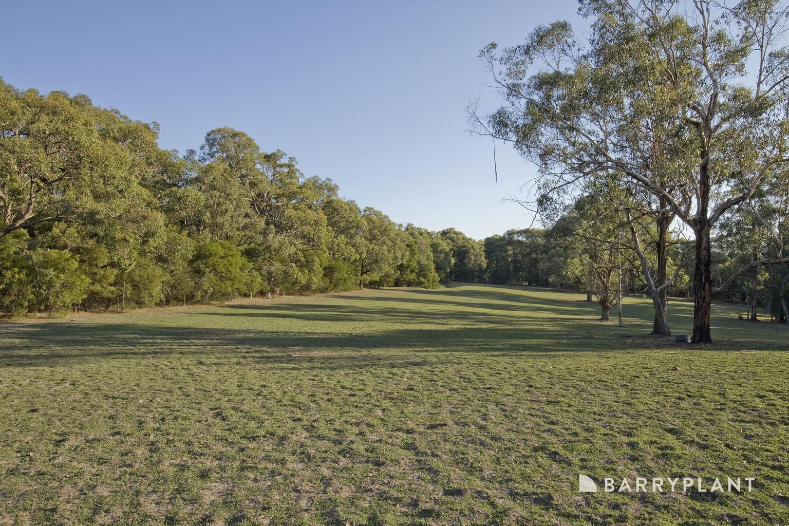 851 Macclesfield Road, Yellingbo, VIC 3139, Yellingbo - Thumbnail 6