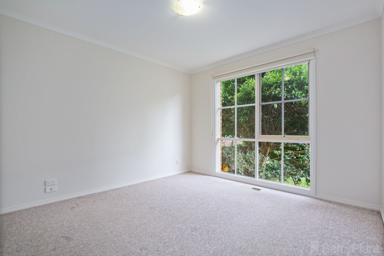 87A Great Ryrie Street, Heathmont, VIC 3135, Heathmont - Thumbnail 6