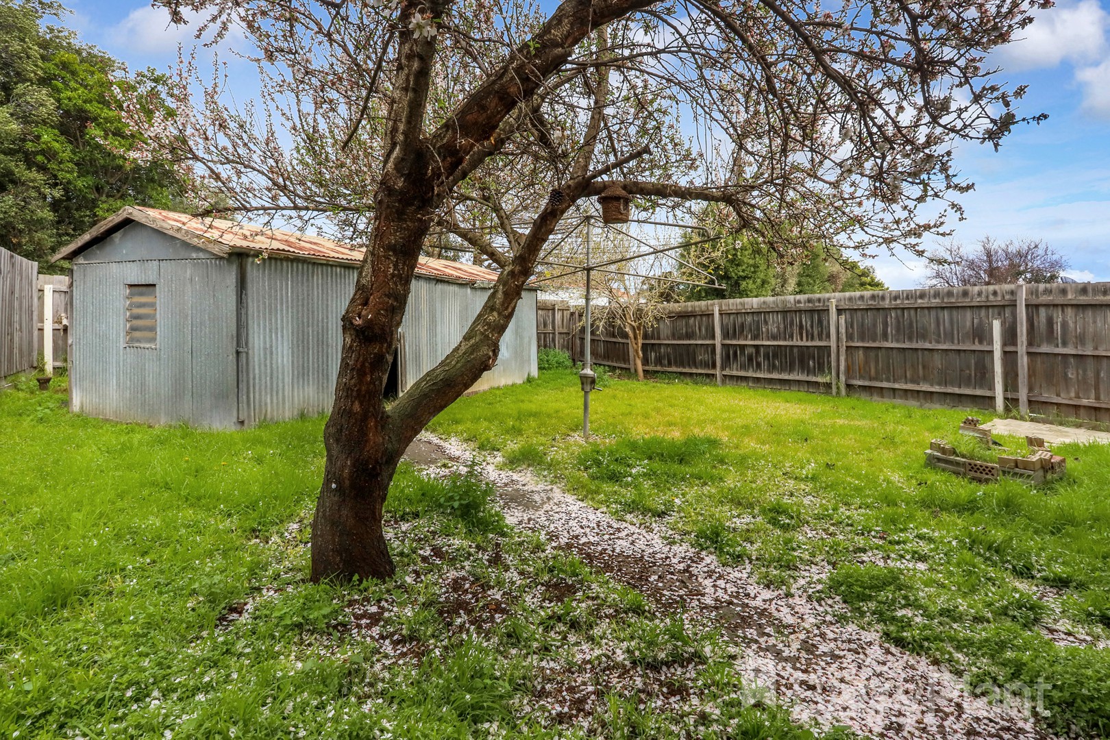 89 Benjamin Street, Sunshine, VIC 3020, Sunshine - Thumbnail 8