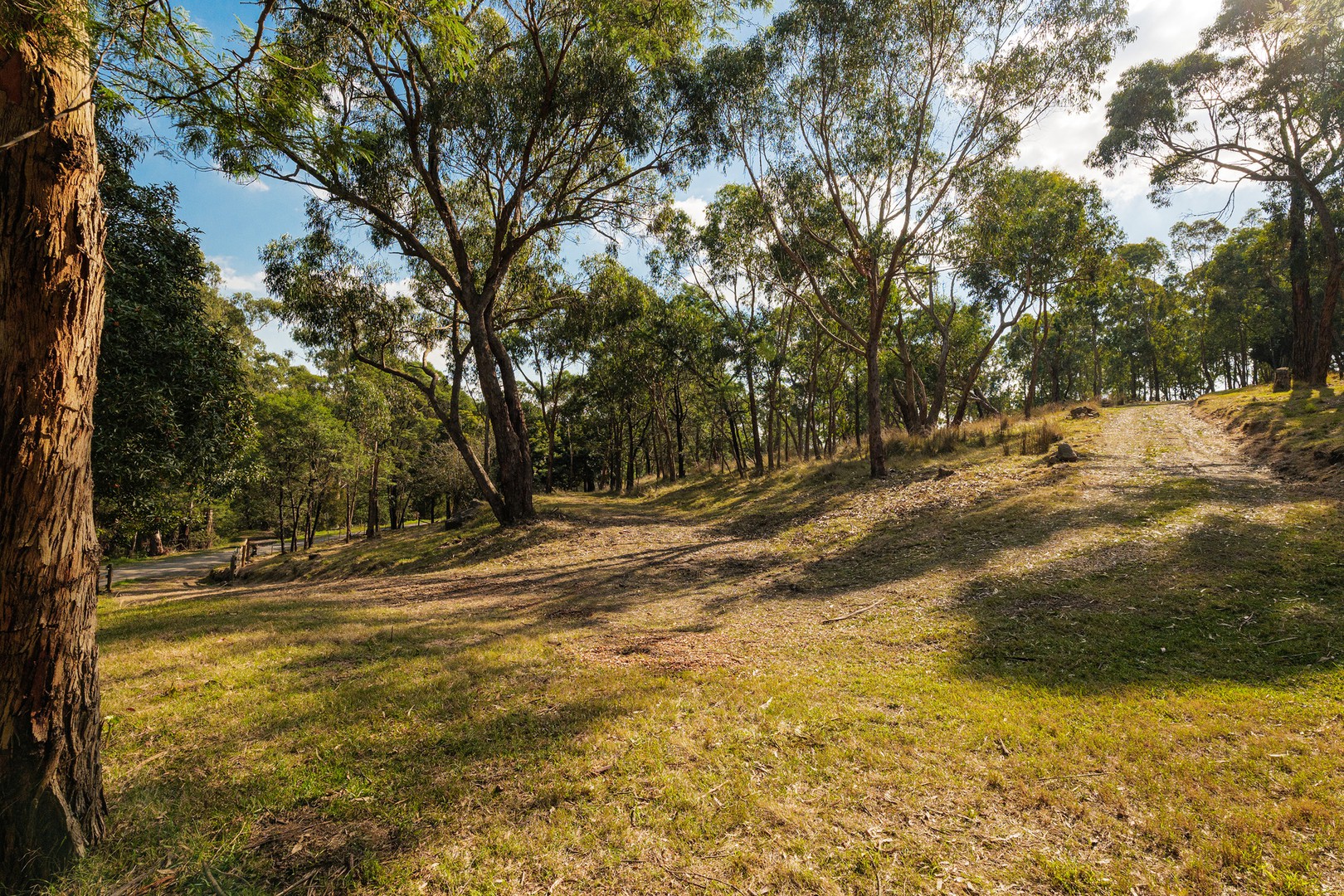 89 Ferndale Road, Upper Ferntree Gully, VIC 3156, Upper Ferntree Gully - Thumbnail 4