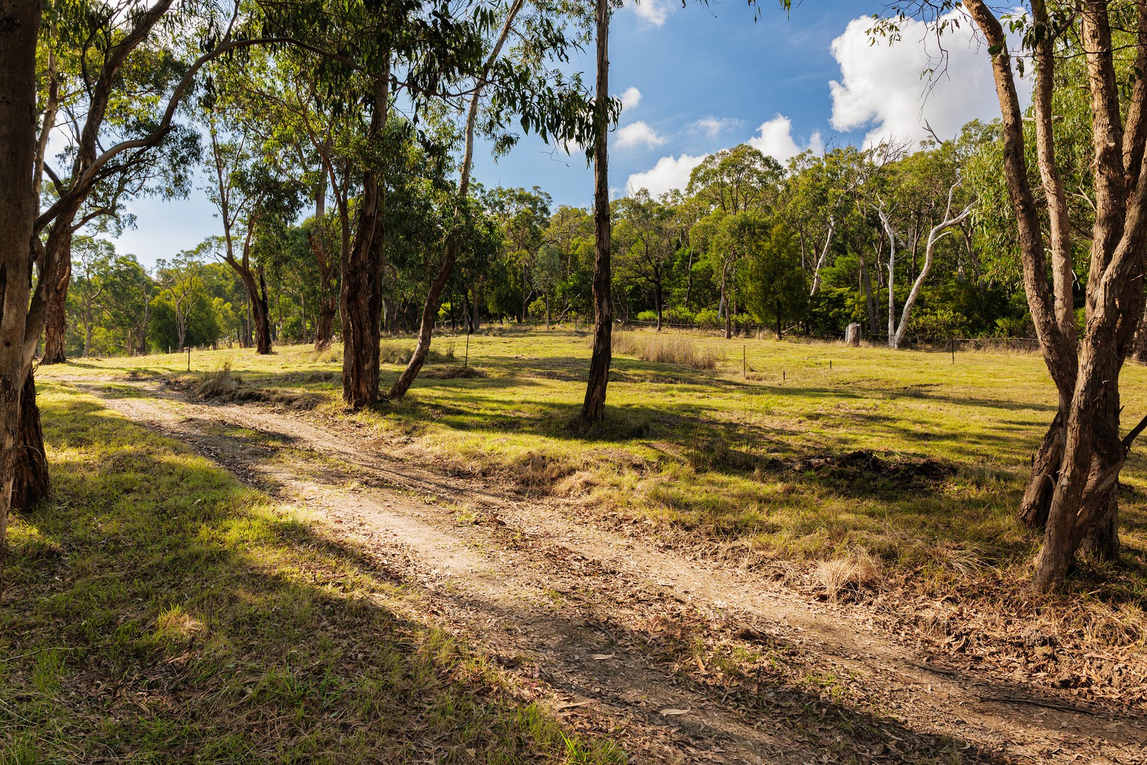 89 Ferndale Road, Upper Ferntree Gully, VIC 3156, Upper Ferntree Gully - Thumbnail 5