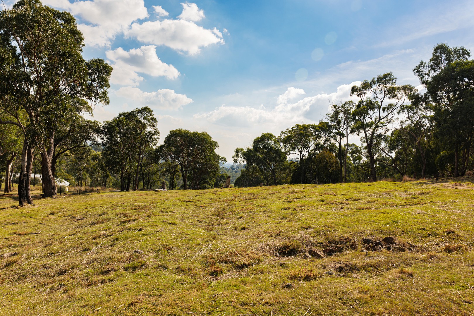 89 Ferndale Road, Upper Ferntree Gully, VIC 3156, Upper Ferntree Gully - Thumbnail 6