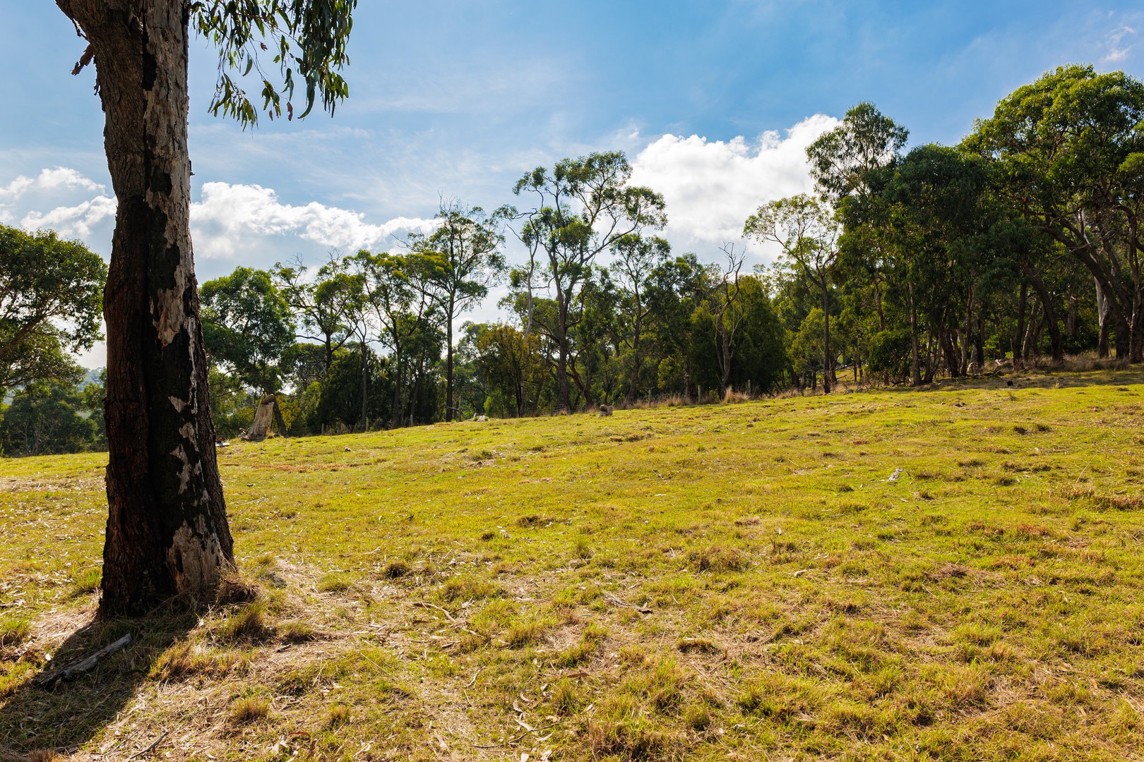89 Ferndale Road, Upper Ferntree Gully, VIC 3156, Upper Ferntree Gully - Thumbnail 7